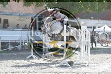 ref. photo 3686021