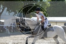 ref. photo 3686025