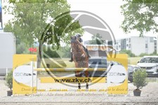 ref. photo 3686117