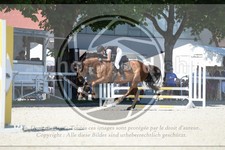 ref. photo 3686143