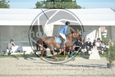 ref. photo 3686148