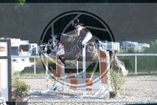 ref. photo 3686155