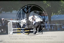 ref. photo 3686161