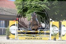 ref. photo 3686206