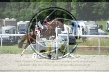 ref. photo 3686234