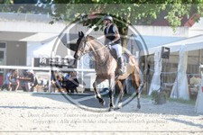 ref. photo 3686246