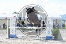 ref. photo 3686267