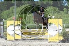 ref. photo 3686281