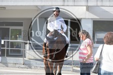 ref. photo 3686334