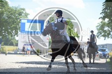 ref. photo 3686402