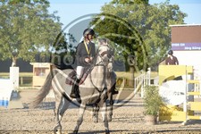 ref. photo 3686501