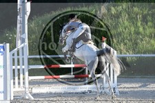 ref. photo 3686786