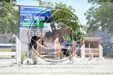 ref. photo 3686801
