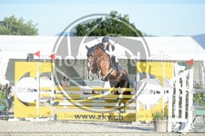 ref. photo 3686863