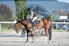 ref. photo 3686870