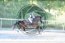 ref. photo 3687048