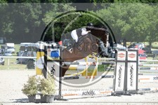 ref. photo 3687052