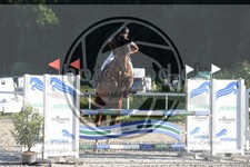 ref. photo 3687142