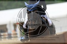 ref. photo 3715252