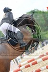 ref. photo 3715319