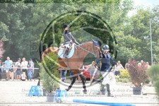 ref. photo 3715513