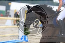 ref. photo 3715698