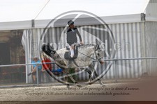 ref. photo 3715717
