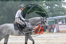 ref. photo 3716096