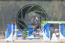 ref. photo 3716106