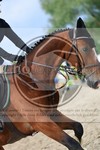 ref. photo 3716145