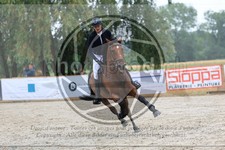 ref. photo 3716188