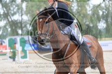 ref. photo 3716189