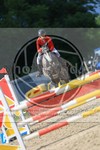 ref. photo 3716195