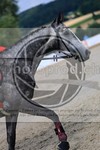 ref. photo 3716202