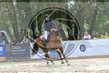 ref. photo 3716221