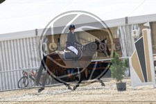 ref. photo 3716324