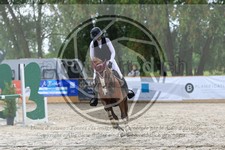 ref. photo 3716622