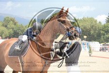 ref. photo 3716699