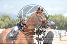 ref. photo 3716701