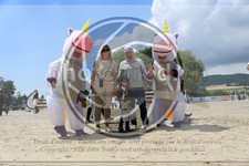 ref. photo 3716781