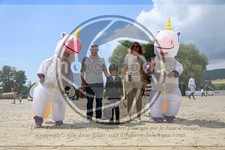 ref. photo 3716791