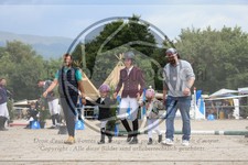 ref. photo 3716877