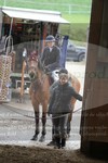 ref. photo 3351604