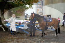 ref. photo 3351639