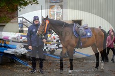 ref. photo 3351640