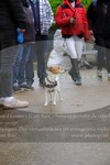 ref. photo 3351641