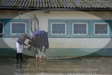 ref. photo 3351665