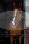 ref. photo 3351666