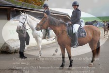 ref. photo 3358158