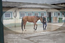 ref. photo 3358169